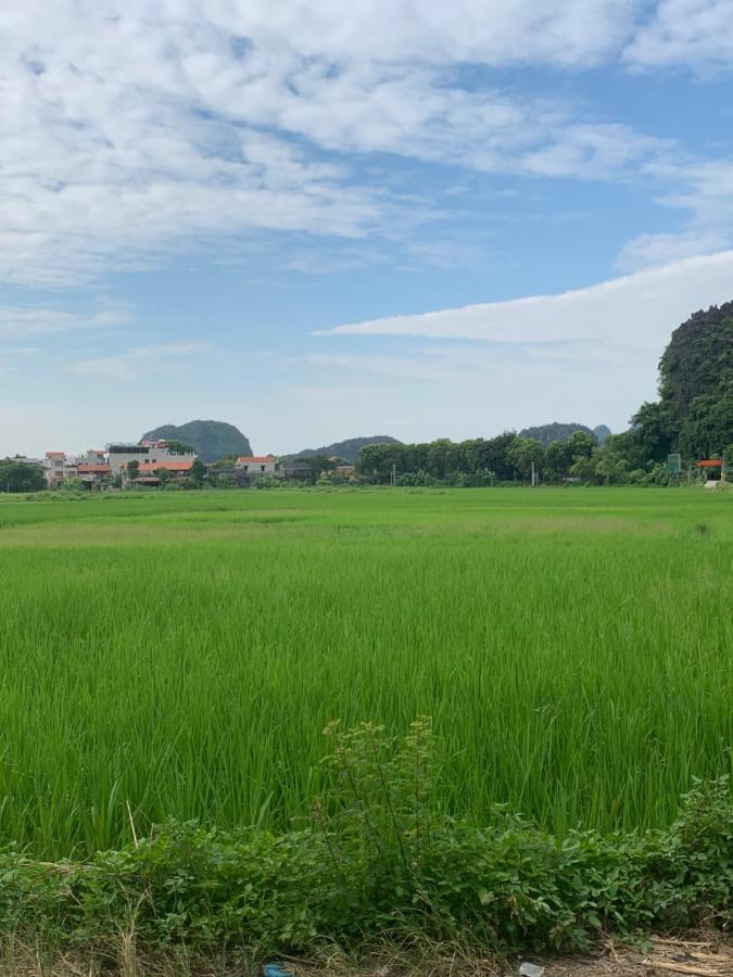 Tam Coc Wonderland Bungalow Ninh Binh Exterior foto