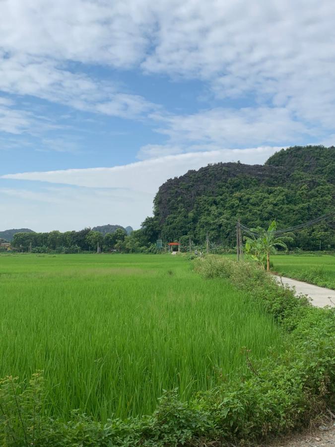 Tam Coc Wonderland Bungalow Ninh Binh Exterior foto