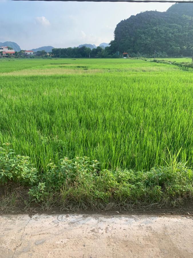 Tam Coc Wonderland Bungalow Ninh Binh Exterior foto