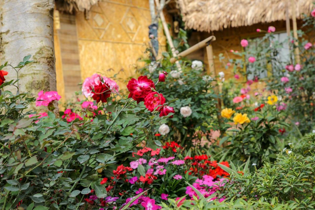 Tam Coc Wonderland Bungalow Ninh Binh Exterior foto
